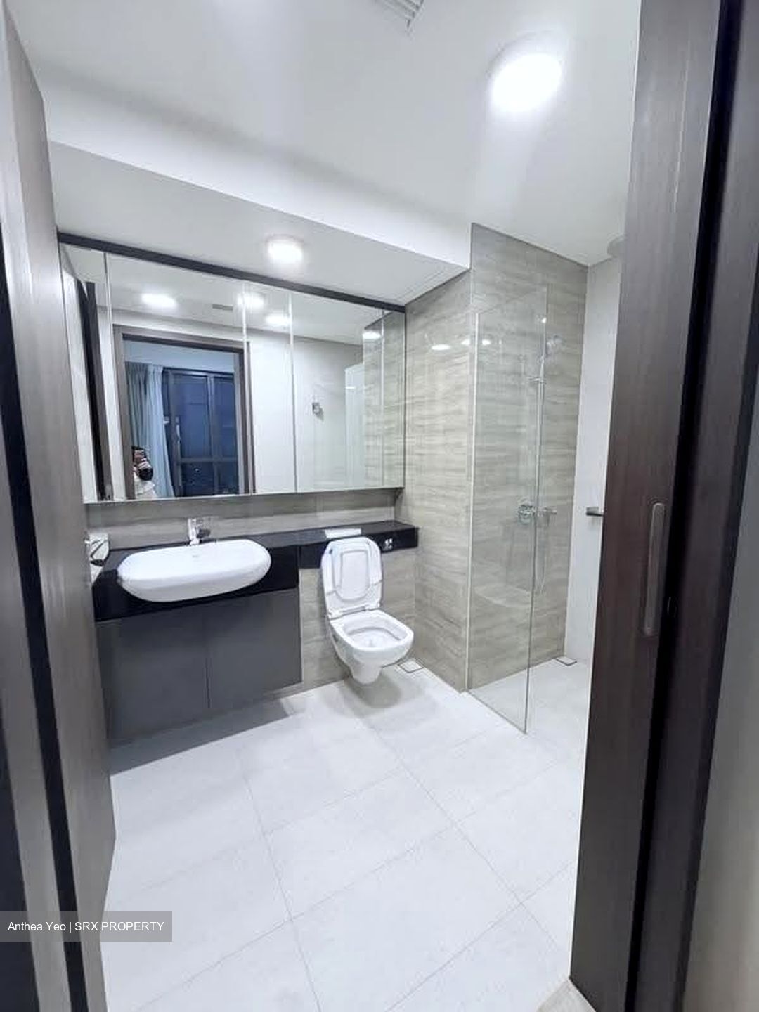 Park Place Residences At Plq (D14), Apartment #618488241